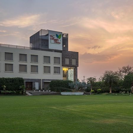 The Mystic Palms Hotel Матура Екстериор снимка